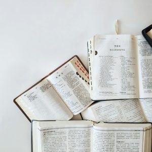 Home Multiple Bibles open on a white background showing text from Ecclesiastes in different languages.